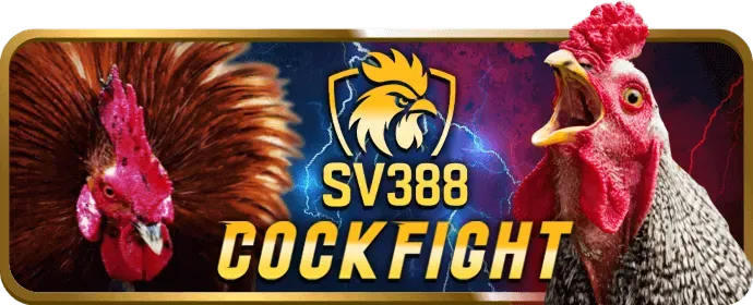 Cá cược thể thao VI888